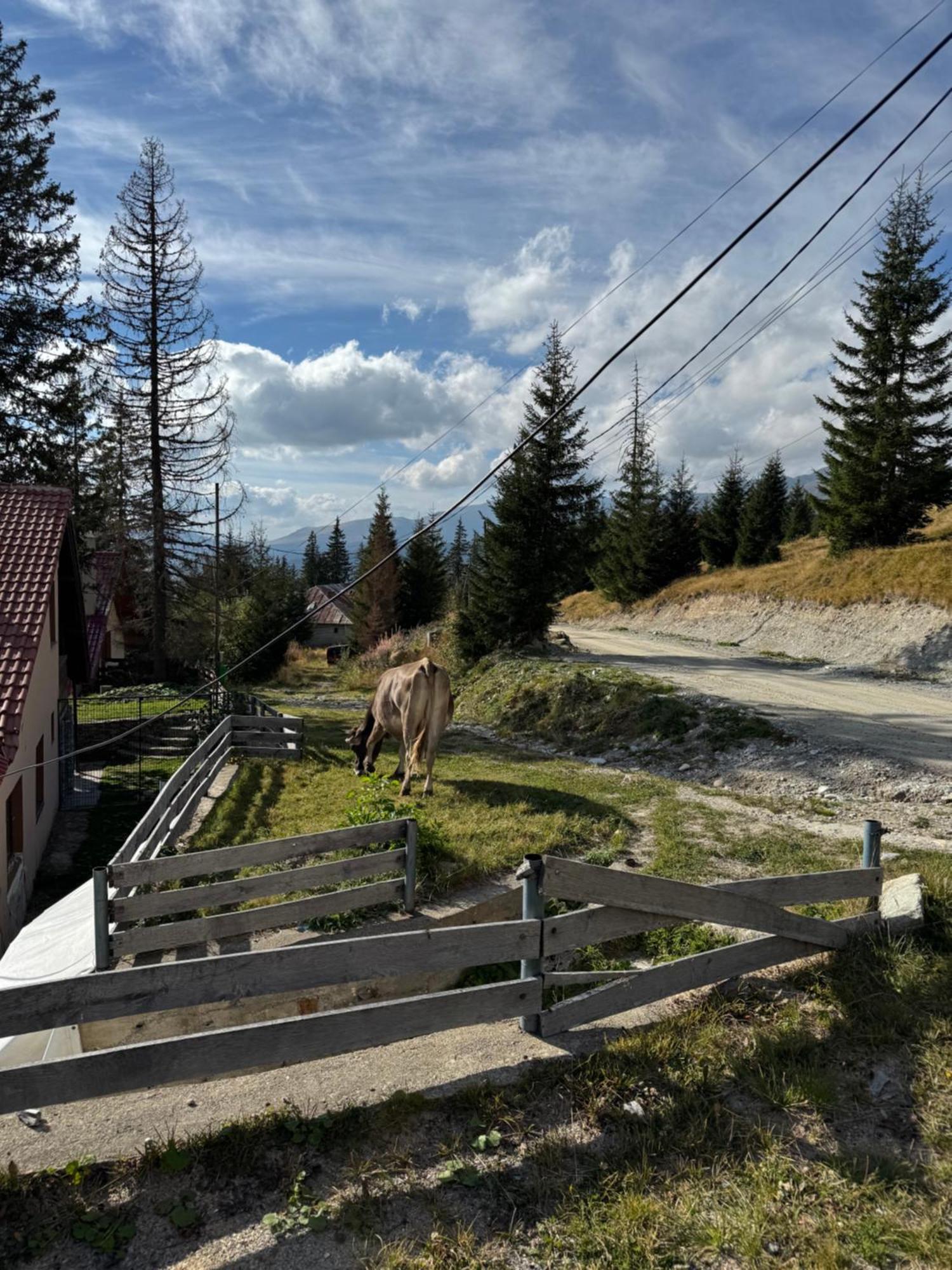 Casa Hai La Ranca Eksteriør bilde